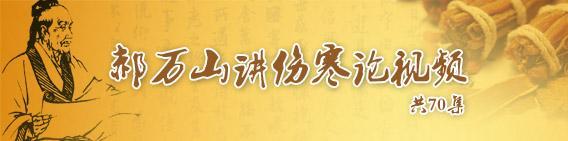 郝万山讲伤寒论阳明蓄血证,郝万山讲伤寒论太阳病的提纲