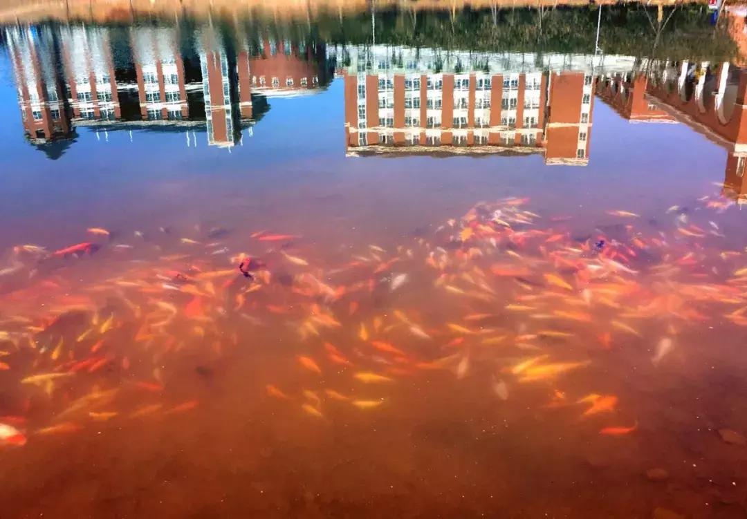 初遇水院，恰逢其时｜等你来共同感受水一样的情怀