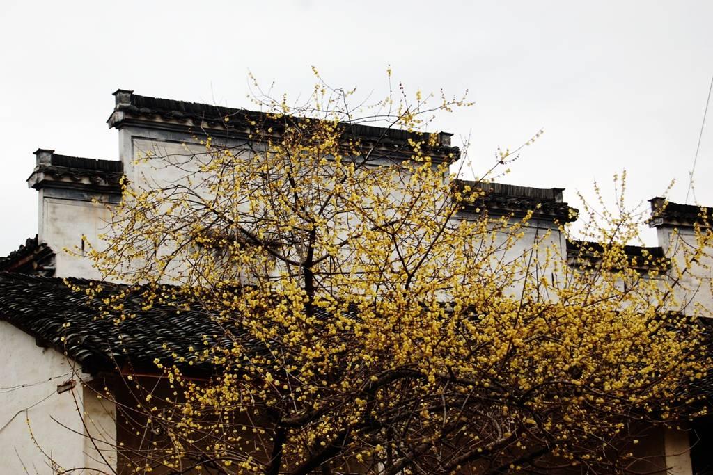 徽州贞节牌坊冰清玉洁,徽州古牌坊故事