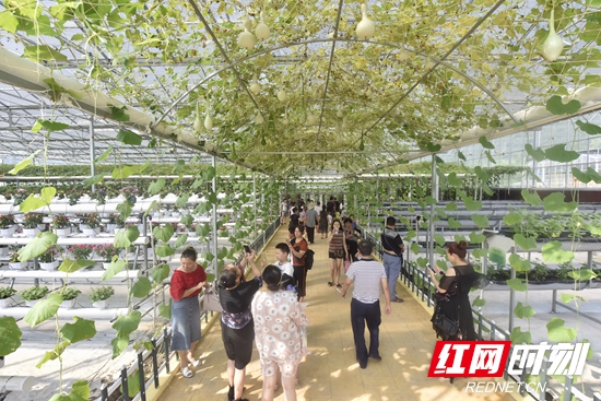 张家界生态园,张家界科技农业园