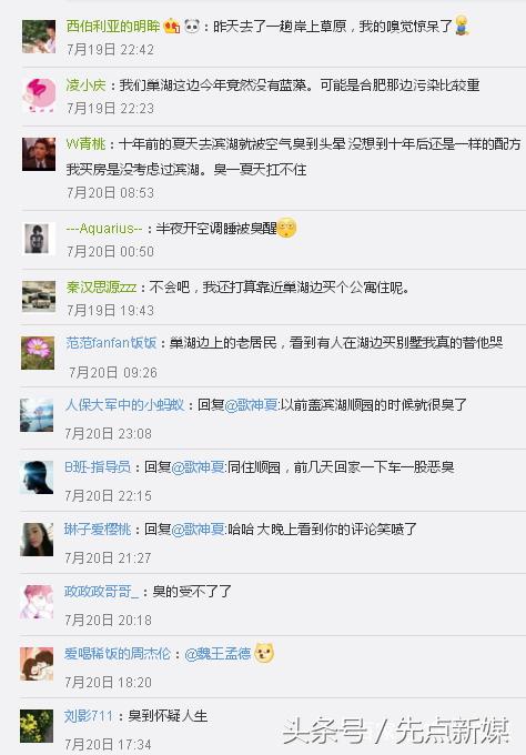 夏季巢湖西北岸蓝藻集中的原因,高温天气巢湖蓝藻爆发