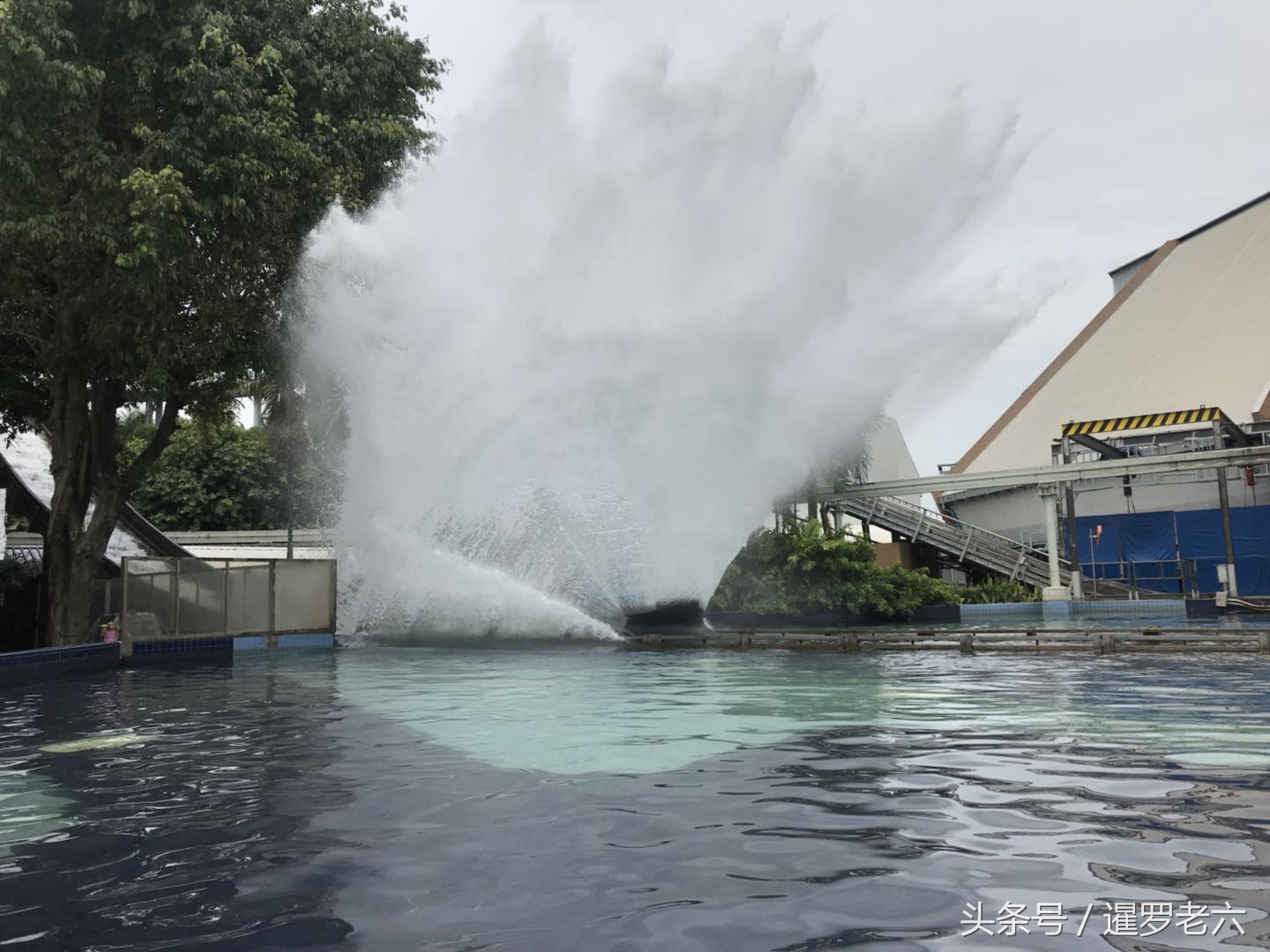 上海迪士尼梦幻世界哪个好玩,感受上海迪士尼
