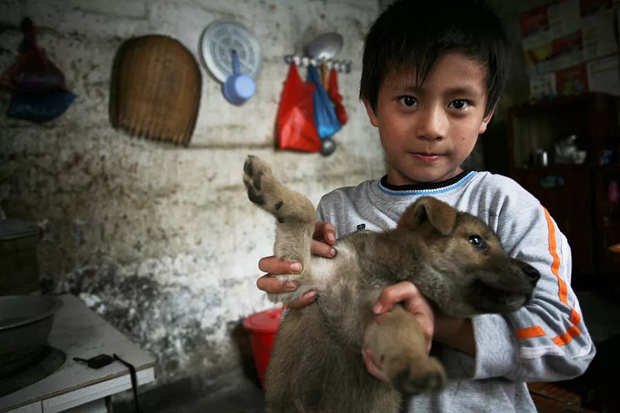 日暮乡关何处是翻译,日暮乡关何处是