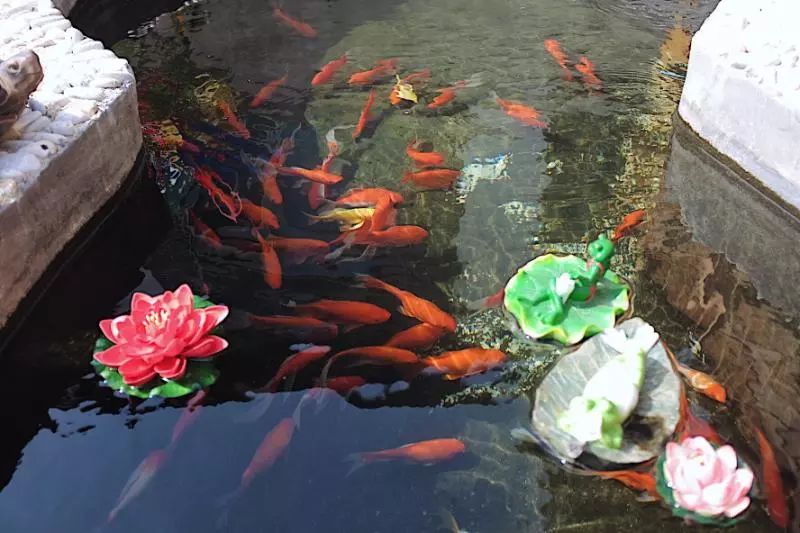 择一处庭院觅一份清幽享一时悠闲,静享时光觅一处幽静之地