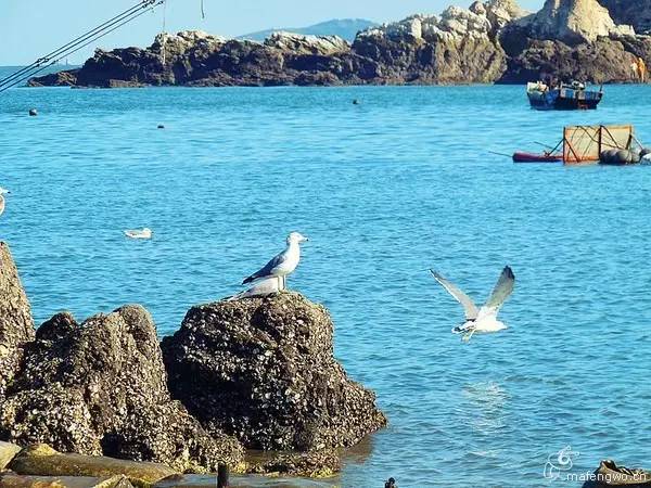 不需要签证最美的海岛,不用出国也可以玩的海岛