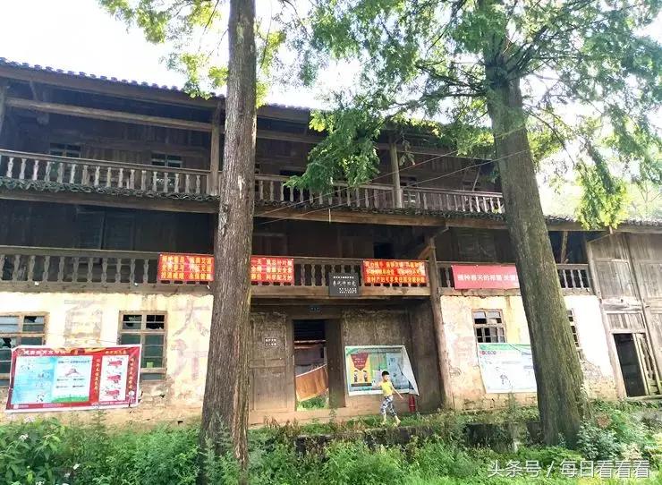 利川著名的油菜花田,利川花海在几月份