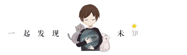 万事屋推荐｜十二星座，这里有一份待查收的粉色包裹