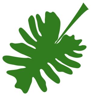 夏季最适合吃的十种水果,夏季这些水果到底该怎么吃才健康