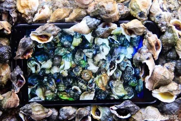 不用签证可以去的岛屿,不花钱的海岛旅行