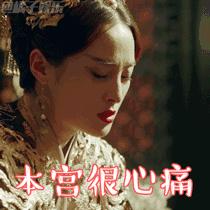 蒋勤勤经历过的事,蒋勤勤查案