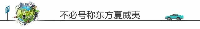 开着奥迪自驾的小姐姐,开着百万奥迪的小姐姐