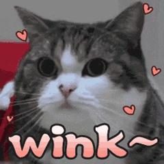 用错了致痘，用对了治痘！护肤还是毁脸，取决于你是否知道……