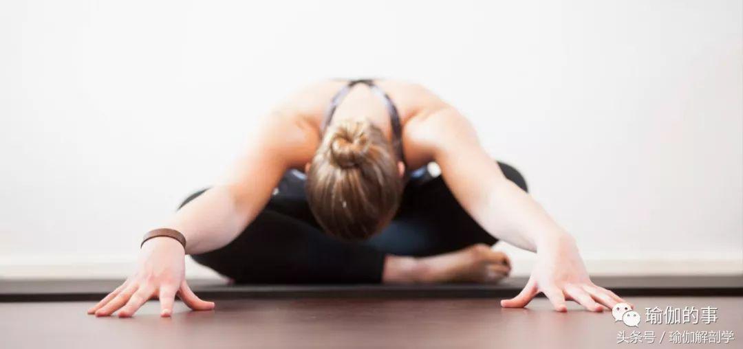 给大家整理一下基本瑜伽的流派,瑜伽小白应该选择什么瑜伽派系