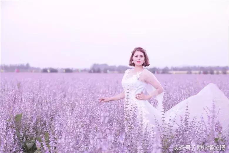 投票啦！快来支持你喜欢的紫苏仙子吧！