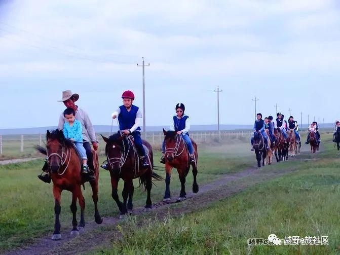 无法忘记的第一次草原之旅,一生必去一次的草原
