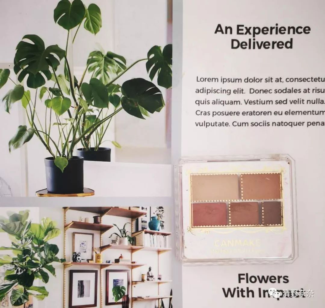 好用的平价国货彩妆单品,平价好用的彩妆单品套装推荐