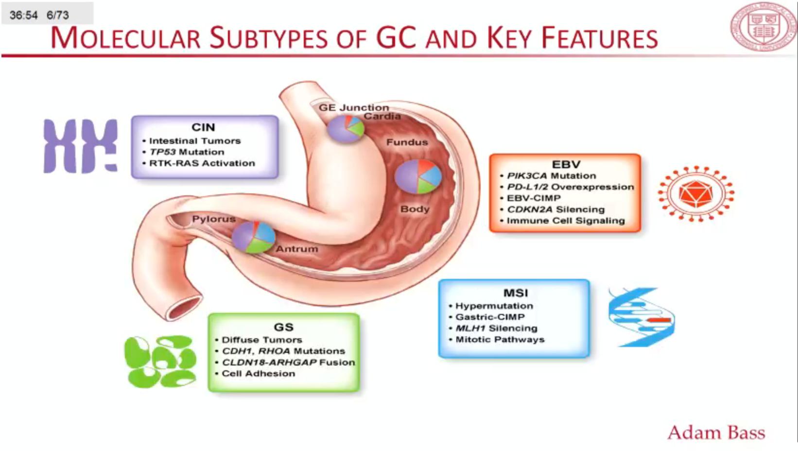 胃癌多西他赛是最后的方案吗,多西他赛和卡培治疗胃癌副作用