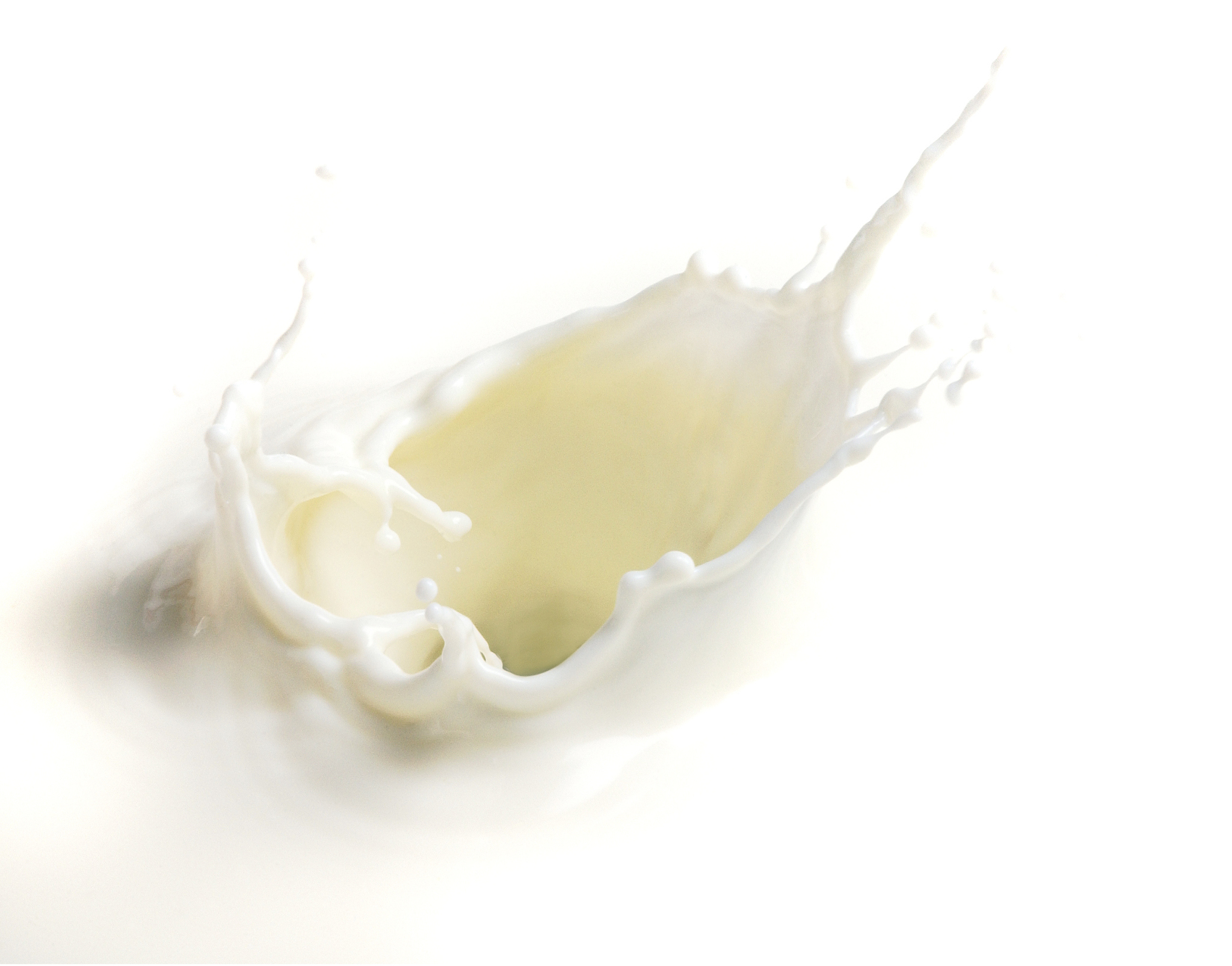 为什么狗狗喝了羊奶粉拉肚子呢,狗狗为什么喝羊奶粉会拉肚子