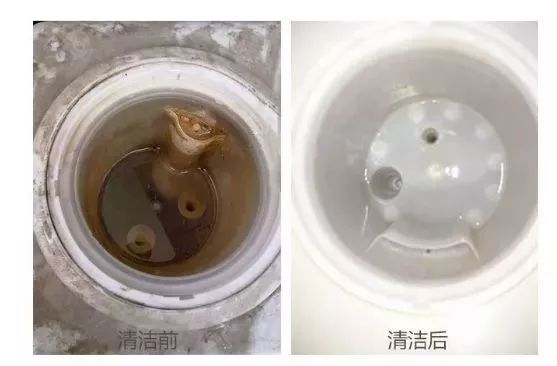 即热式饮水机细菌感染,饮水机恒温水会不会滋生细菌