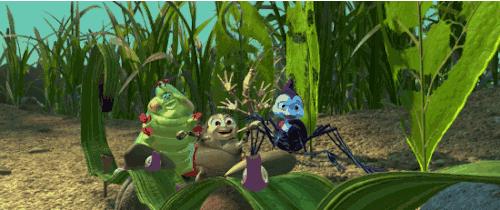 近期出现的毒虫,三明市永安区疾控中心