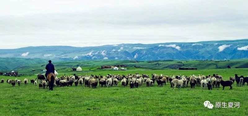 甘南行首站夏河美景,旅游甘南到了夏河下一站应该到哪
