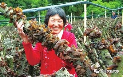 中国媒体看甘孜,四川文县旅游宣传片