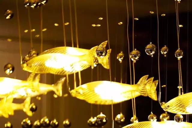 40岁大叔买下一座岛,大叔为钓鱼买下一座岛