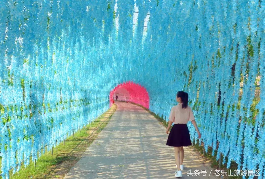 又双叒叕来搞事，解锁“网红”打卡新姿势，老乐山网红走廊等你来