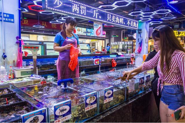 梦旅人海阳,梦旅人旅行