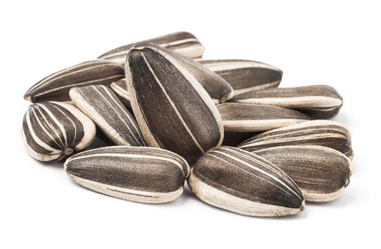 渣粮、品牌粮和自配粮，新手仓鼠粮的选择