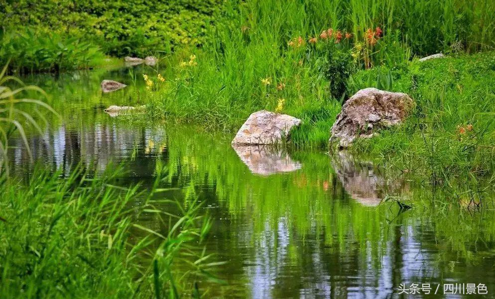 小众又免费！成都地铁直达的天然氧吧！清凉洗肺又解暑！