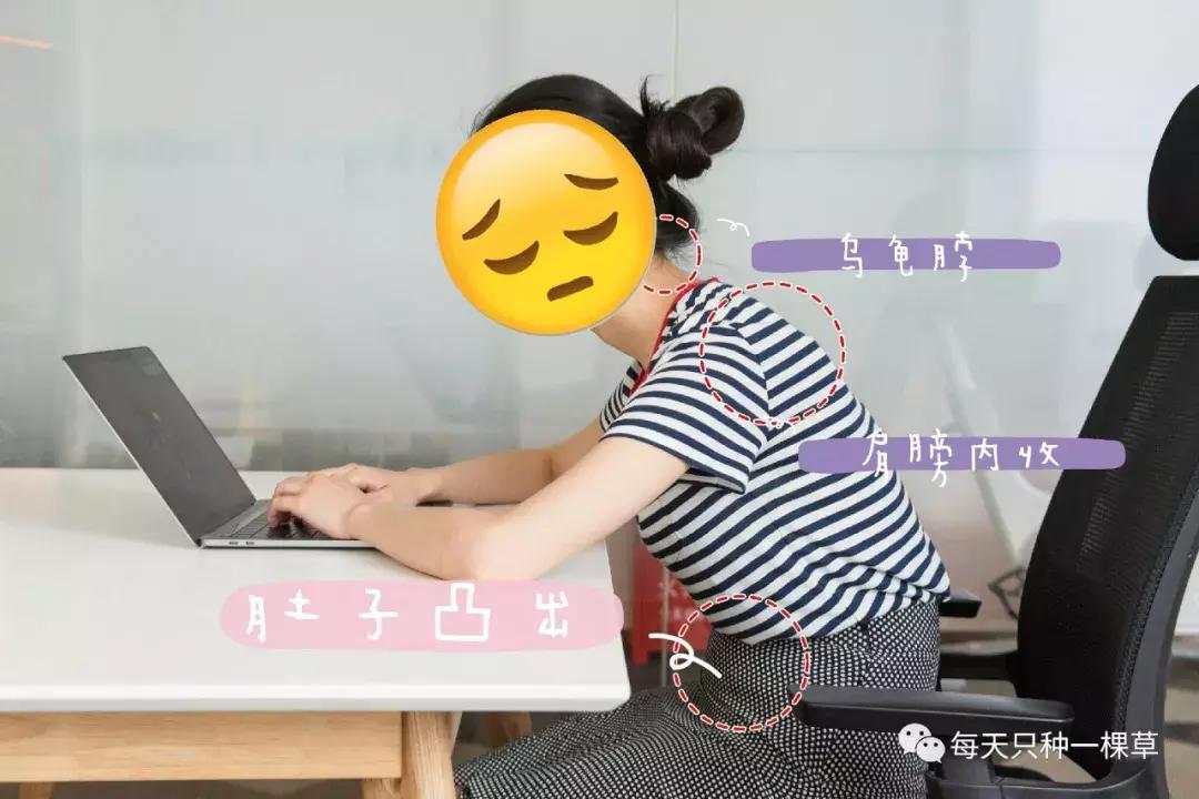 久坐必备健康神器,久坐伤身的最佳治疗方法