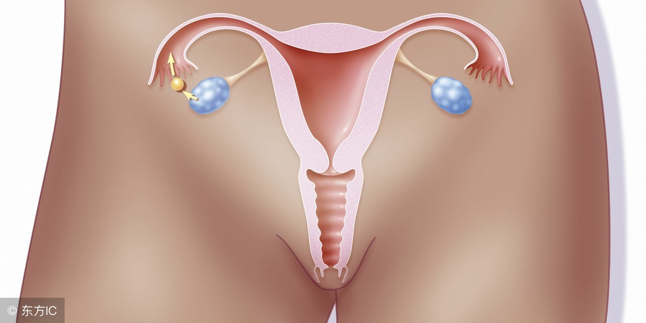 备孕困难是什么原因造成的,一胎容易二胎备孕困难什么原因