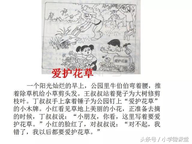 小鸭子得救了二年级看图写话范文,二年级语文下册必考看图写话范文