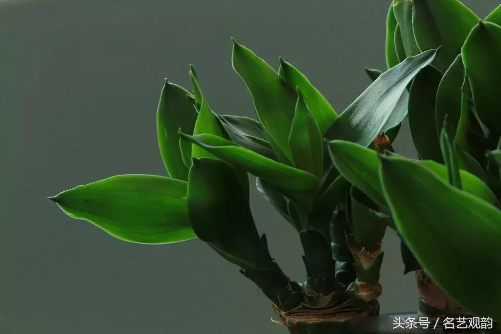 中式书房好物,书房中式装修