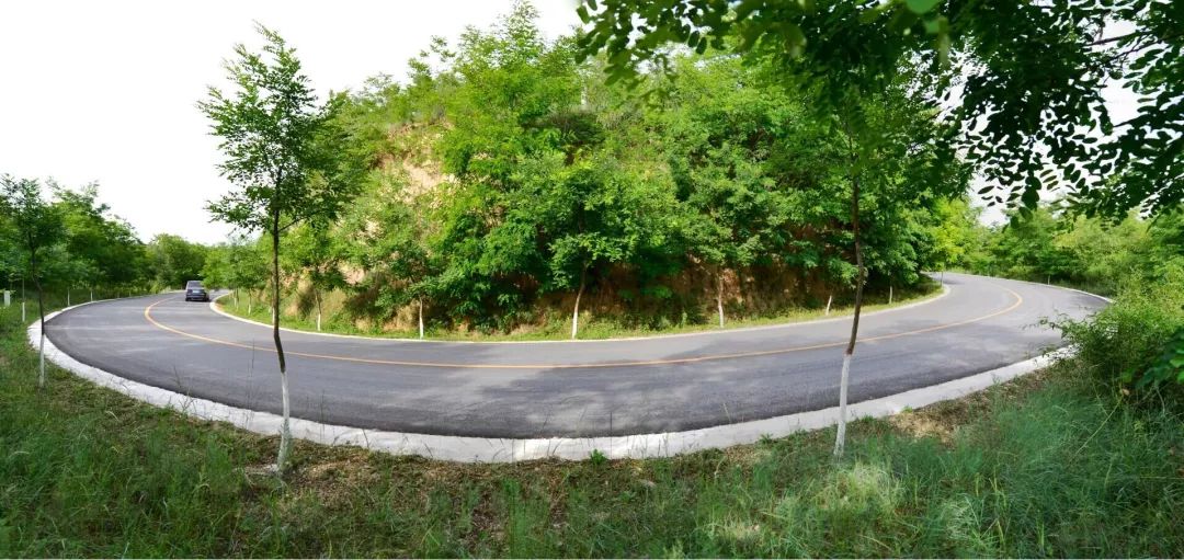 长武避暑胜地,长武青龙山避暑