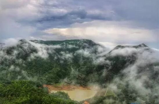 东莞四小虎在哪里,曾经的东莞四小虎