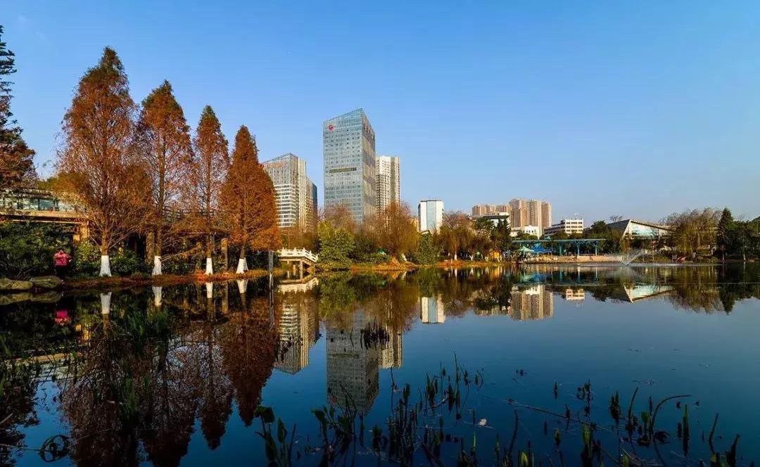 前三季度昆明各区县gdp,昆明各区县gdp