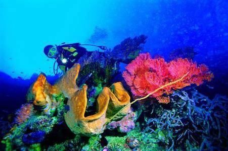 距离中国3000公里小岛,国内小众海岛堪比马尔代夫