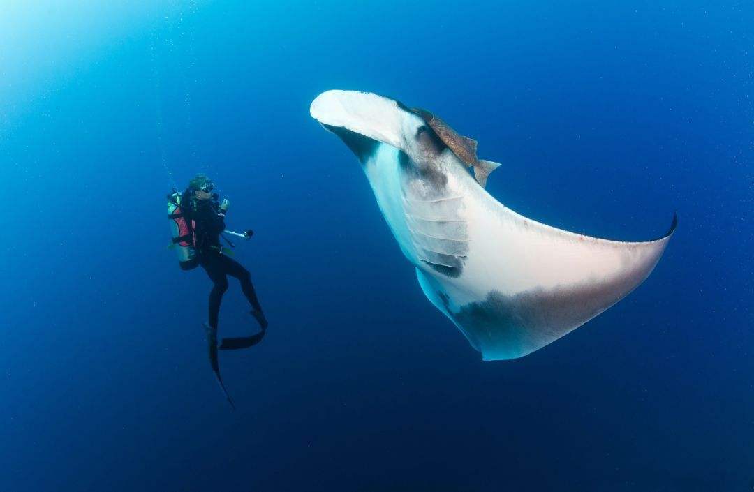 十部震撼神级片,9部堪称神作的纪录片火山