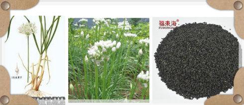 中医常用处方大全,中医常用的方剂及作用