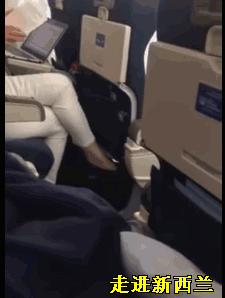 骇人听闻！女乘客当众脱裤，直接在飞机过道上尿尿！男乘客在机上“*飞机打**”！互不认识的乘客机上当众*爱做**做的事……简直刷三观