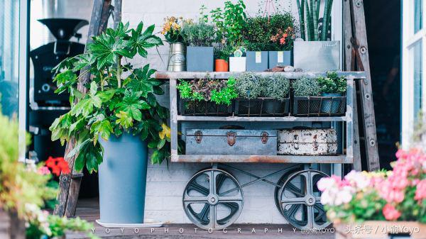 夏天济州岛旅游攻略,夏游济州岛
