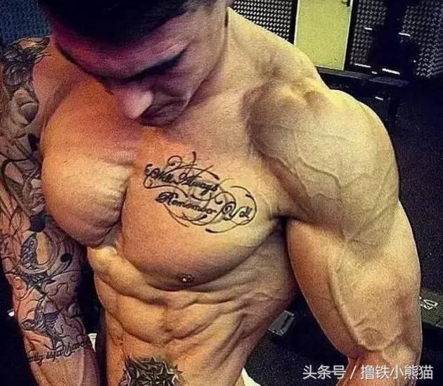 身体太瘦如何健身增重,身材太瘦怎么变胖