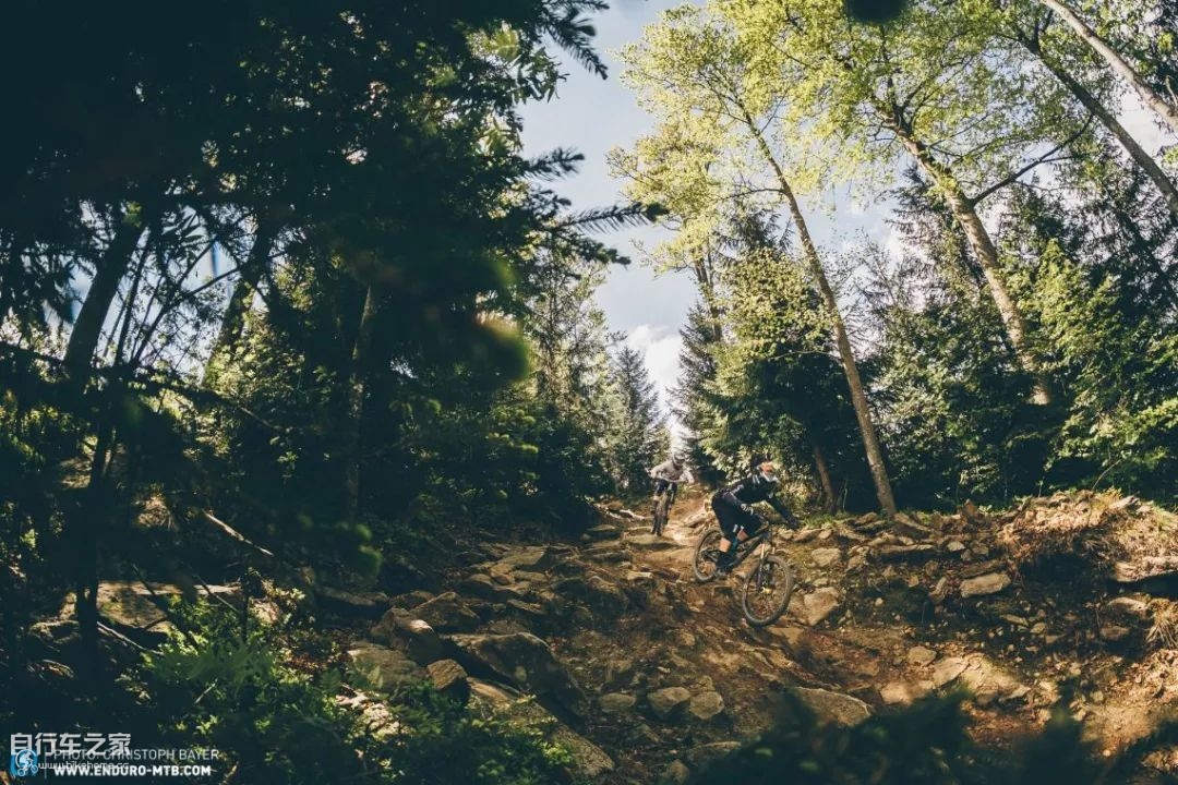 谁可登上德意志第一的宝座?CanyonTorque对决YTCapra