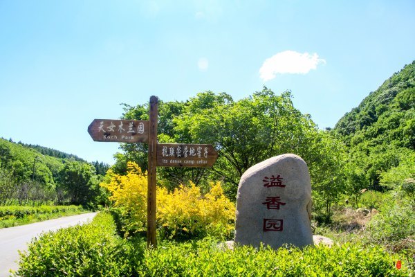 抚顺深度游攻略游记,抚顺旅游攻略自由行