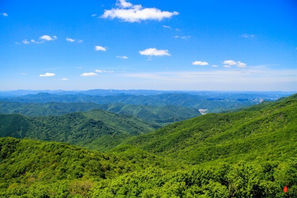 涓囧瓧鏀荤暐,涓囧瓧瑙ｆ瀽鏀荤暐