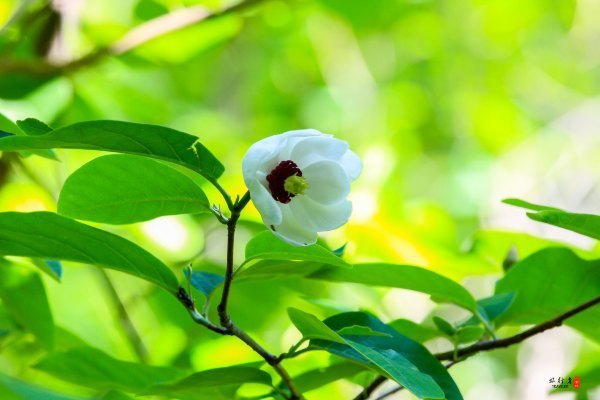 抚顺深度游攻略游记,抚顺旅游攻略自由行