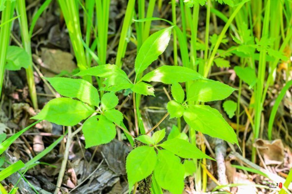 抚顺深度游攻略游记,抚顺旅游攻略自由行