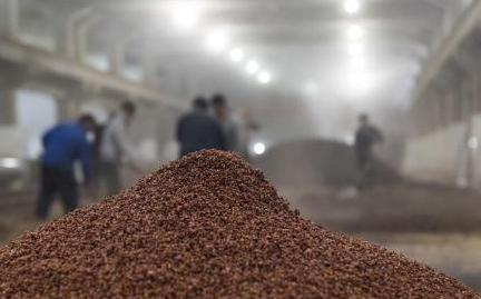 高粱也是五谷吗,高粱为什么不属于五谷